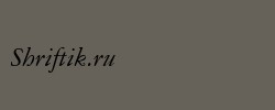 American Garamond Italic BT 